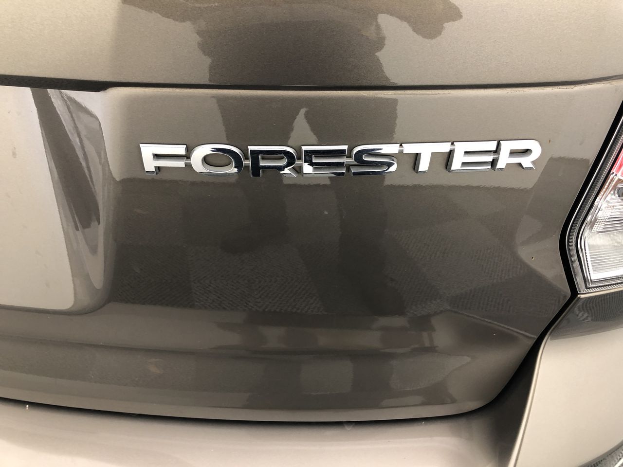 Fossil Tree Cabernet Merlot 2020 (12x 750mL) Limestone Coast, SA