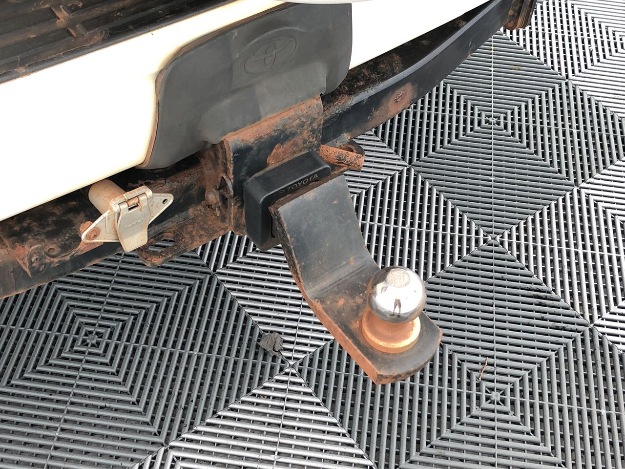 Echo Bay Pinot Grigio 2025 (12x 750mL) SEA