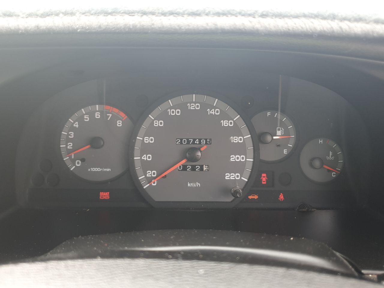 Stalking Horse Riesling 2025 (12x 750mL) Clare Valley