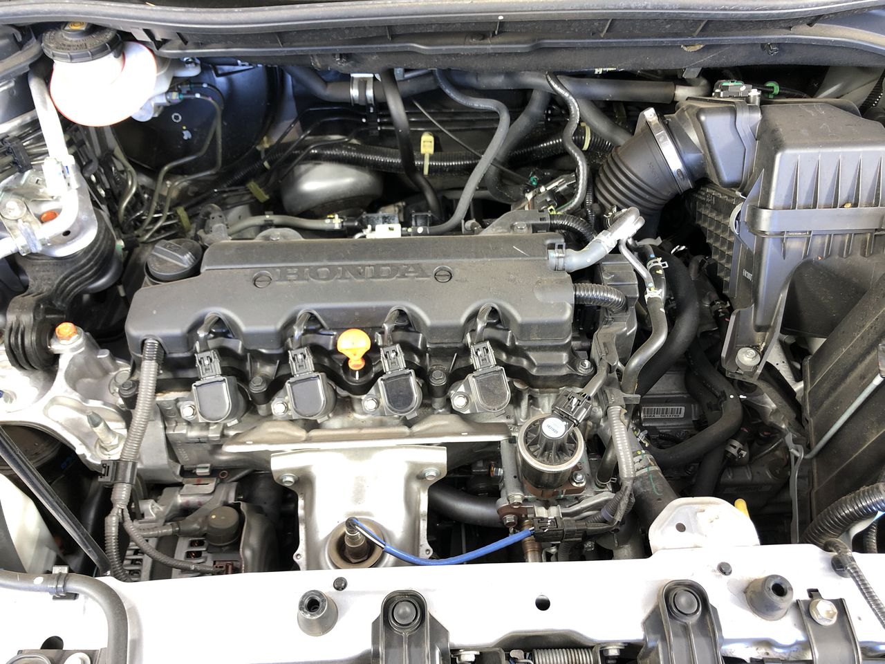 2 x Assorted INDIANA JONES Raiders of The Lost Ark, 6" Figures, Comprising: