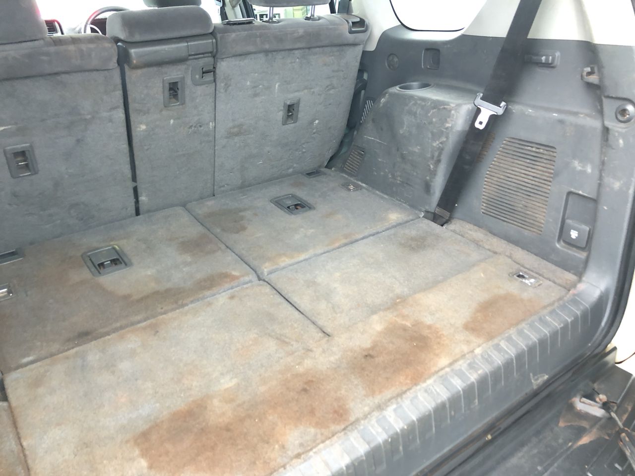 Medela Easy Pour Disposable Breastmilk Storage Bags, 210 ml Capacity, Leakp