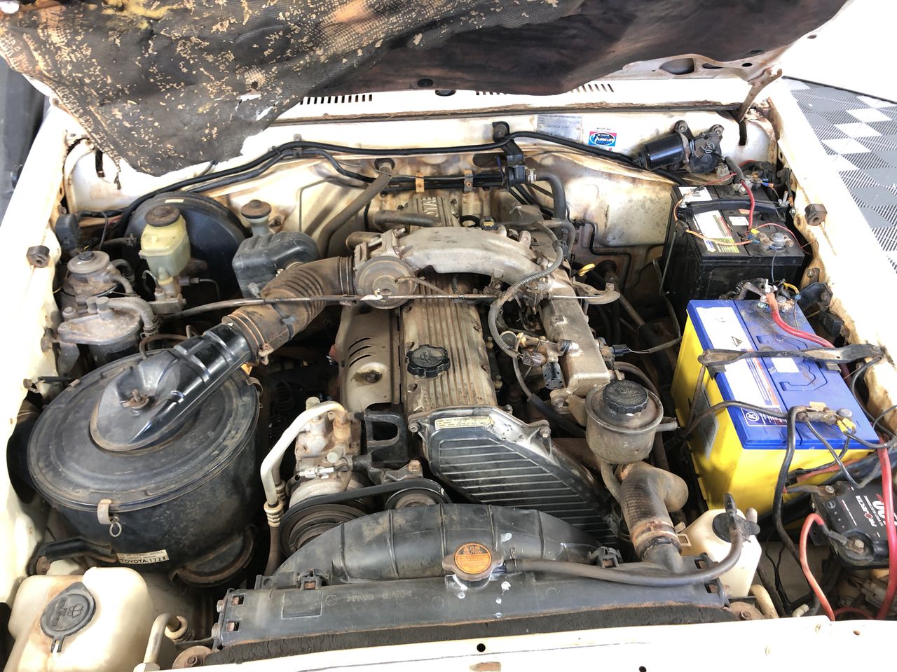 2022 Queen Elizabeth Platinum Jubilee Gold plated Medallion