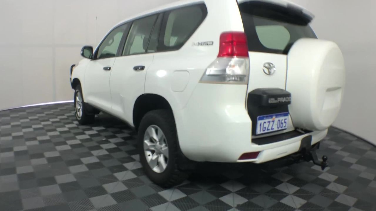 Cleaning Chemicals, Food Trays & RPET Show Bowls — Assorted Lot