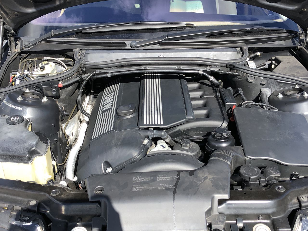 McGuigan Black Label Tempranillo 2024 (6x 750mL) SEA