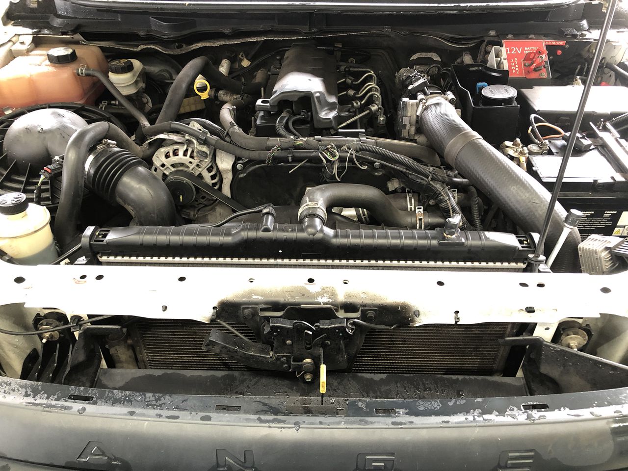 Roberts Estate Pinot Grigio 2024 (12x 750mL) SEA