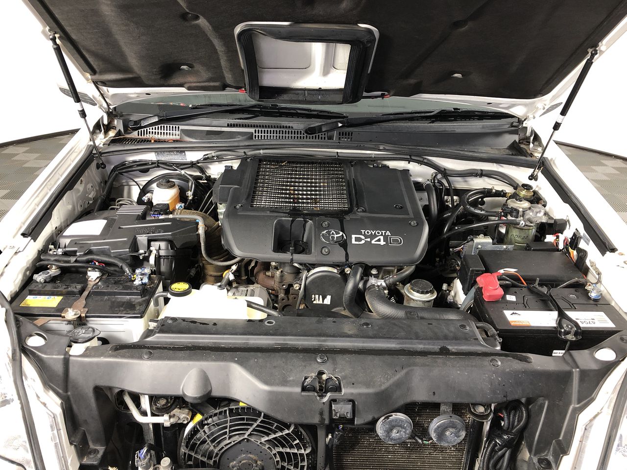 5mm Simulated White Pearl Earrings