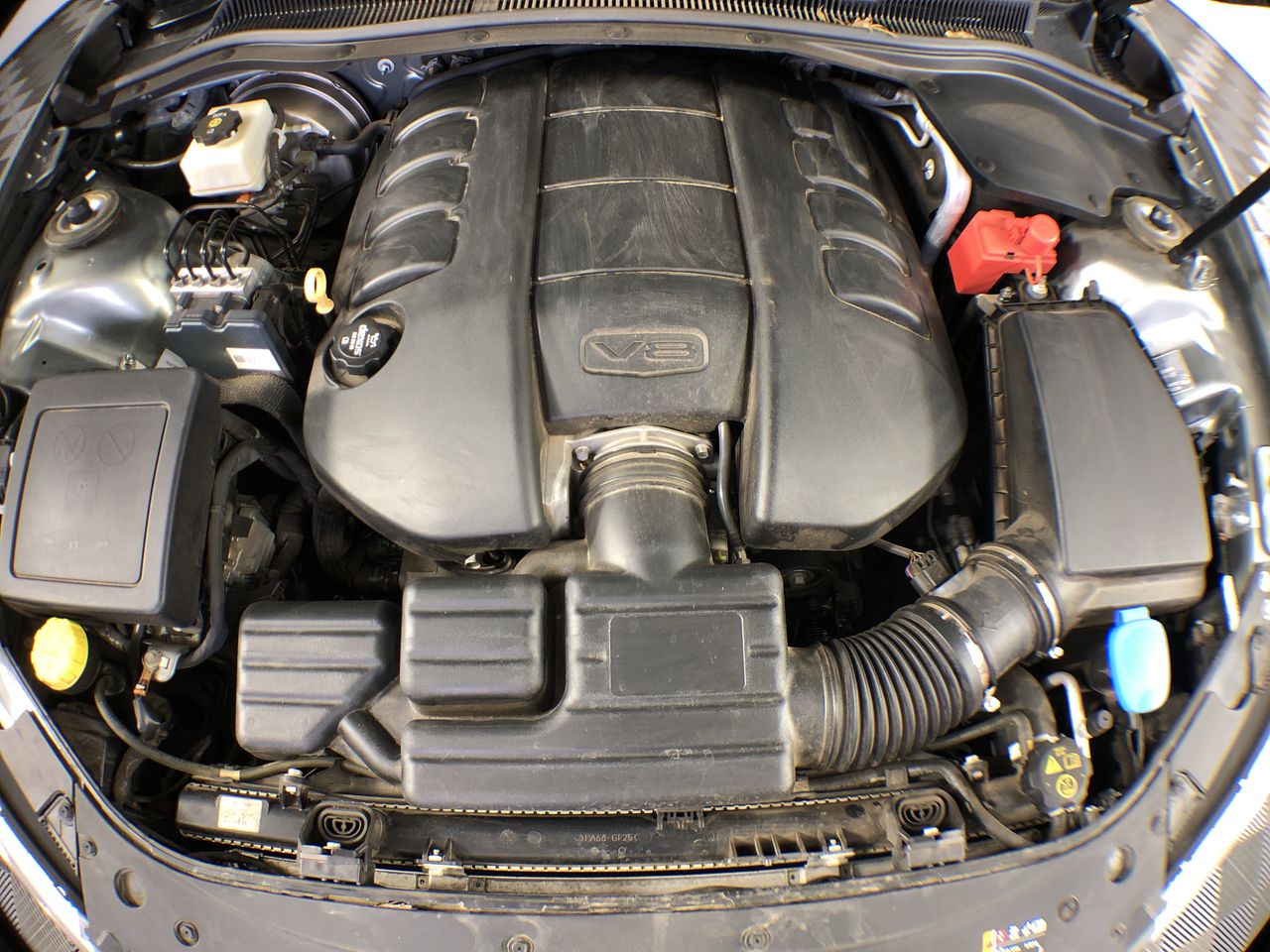 Pioneers First Patch Tempranillo 2024 (12x 750mL) SA