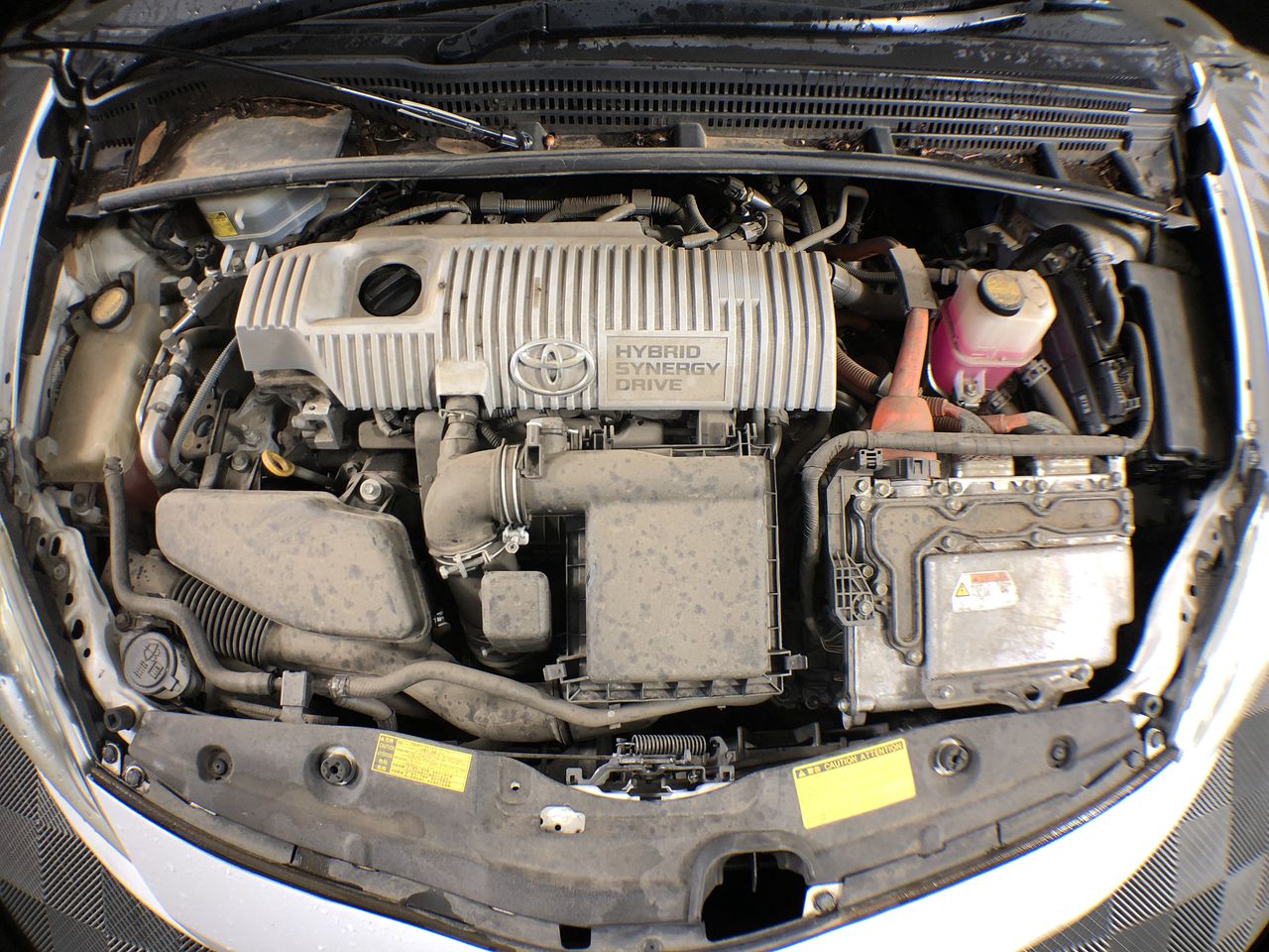 Elephant in the Room Buttery Chardonnay (6x 750mL).