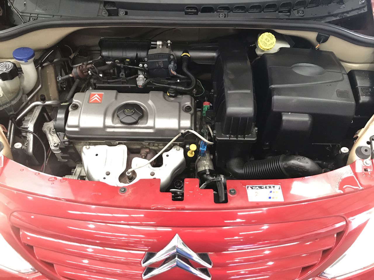 Barramundi Cabernet Sauvignon 2022 (12x 750mL) SEA