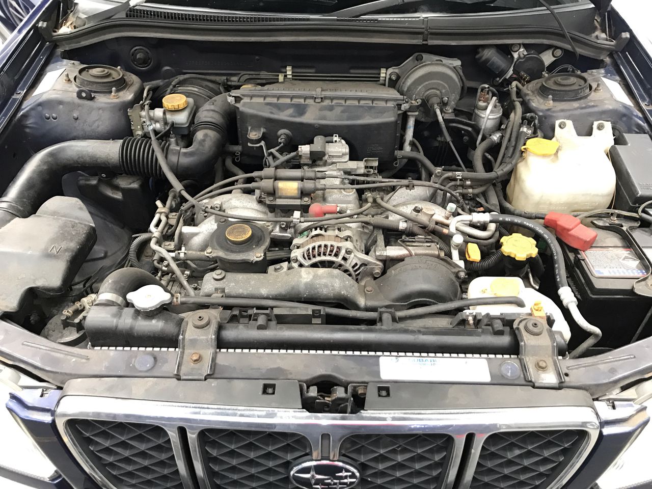 Snake + Herring Tough Love Chardonnay 2023 (12x 750mL) WA