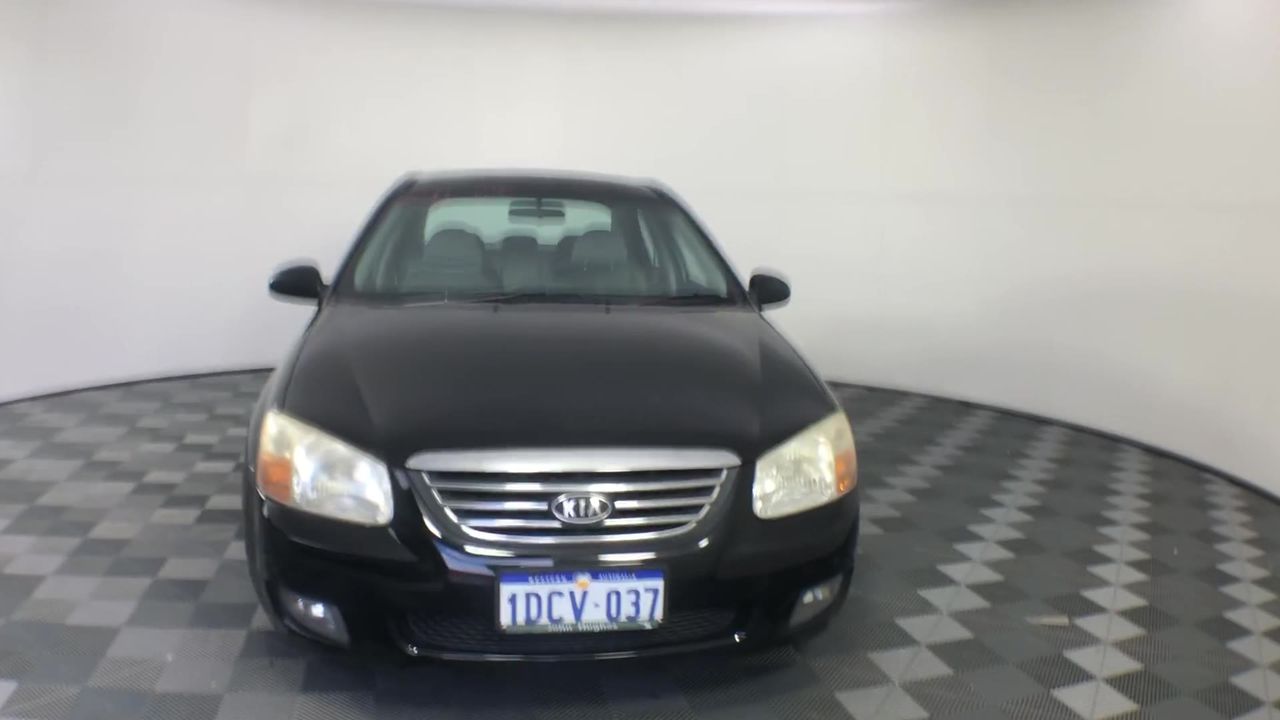 SPEAR & JACKSON Leaf Grabber.