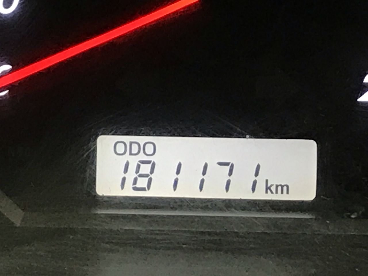 TOMMY BAHAMA 2pk Colossal Pillow, Yellow Green.