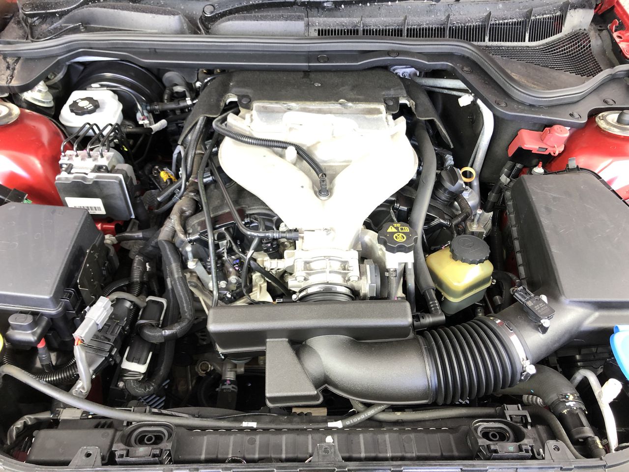 PUMA Women's 8pk No Show Sneaker Socks, Sock Size 9-11, Shoe Size 5-9.5, Po