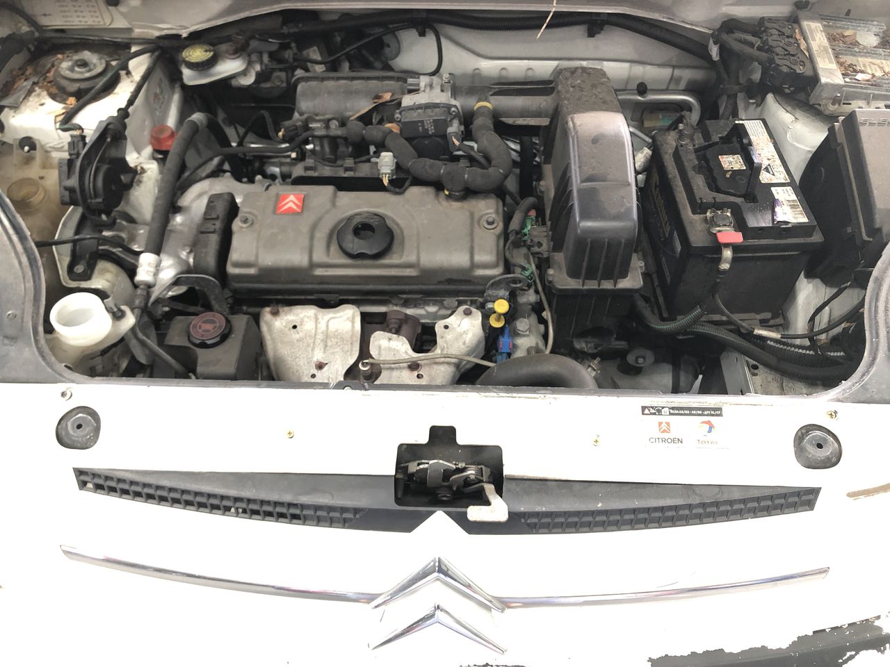 RIP CURL Men's Classic Surf Cord Volley Shorts, Size XL, Dark Khaki (9660).