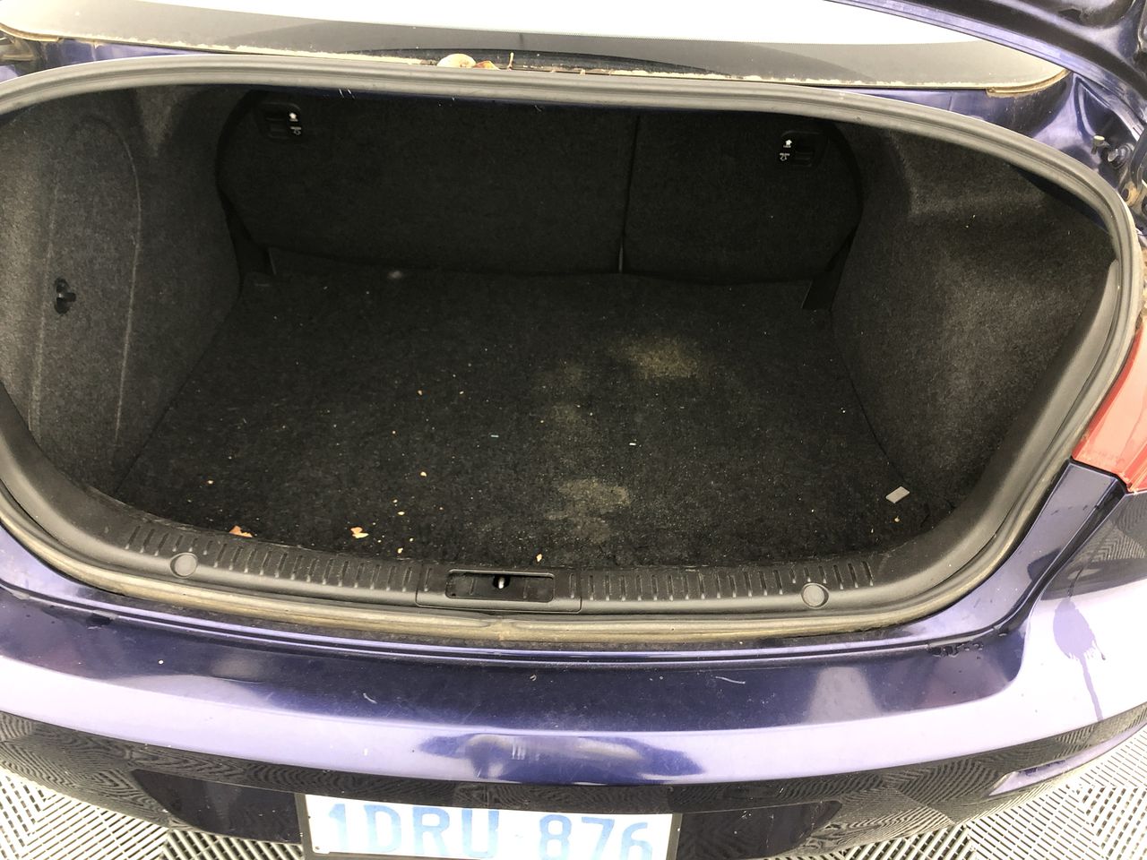 NEW!! LIMITED 2024 BLUEY DOLLARBUCK & BINGO $1 DOLLAR UNC Coin 2 CARD SET