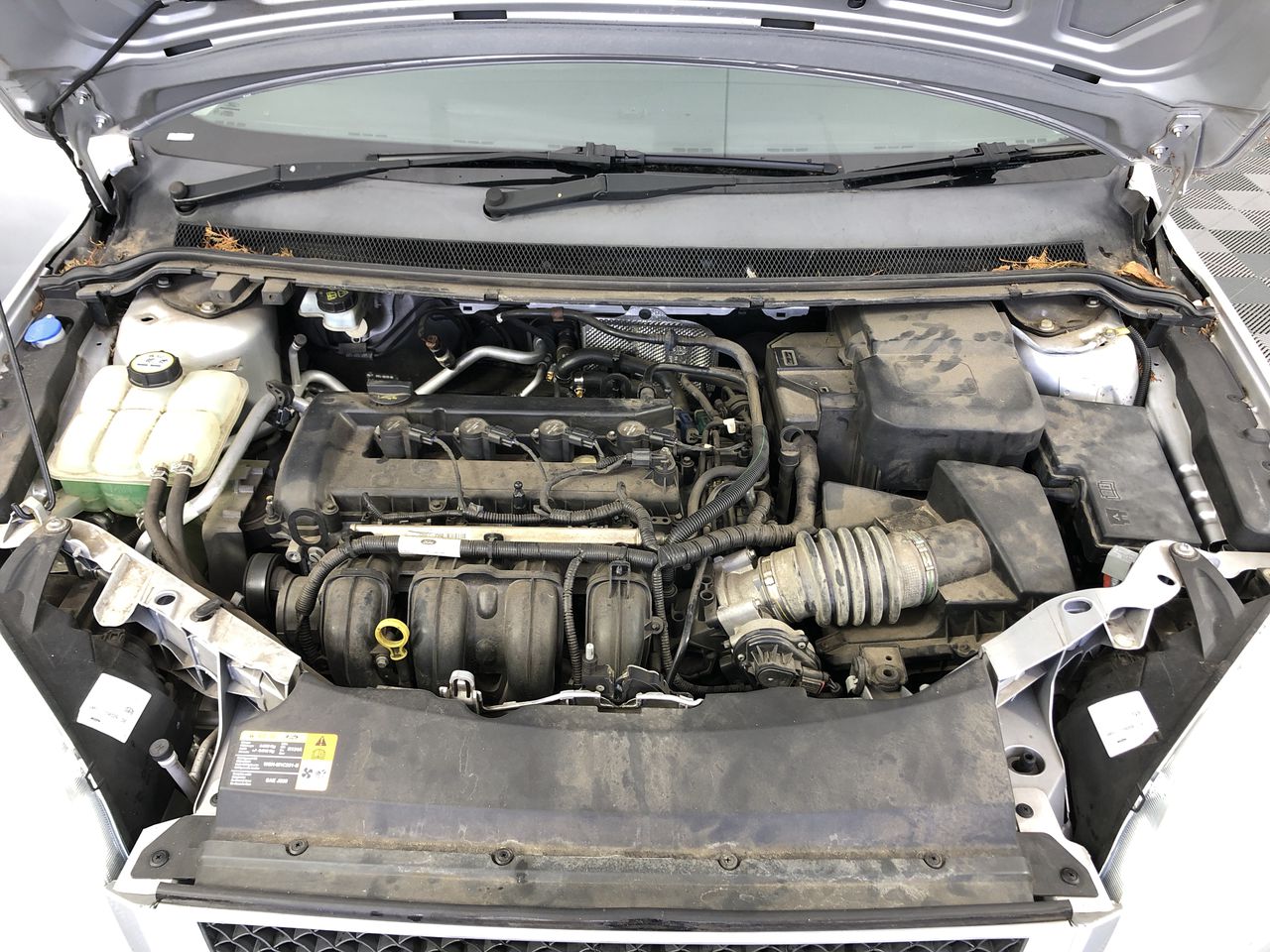 GERMANIA MINT NEW PRODUCT- 1 GRAM 999.9 FINE SILVER- GERMANIA 1GRAM