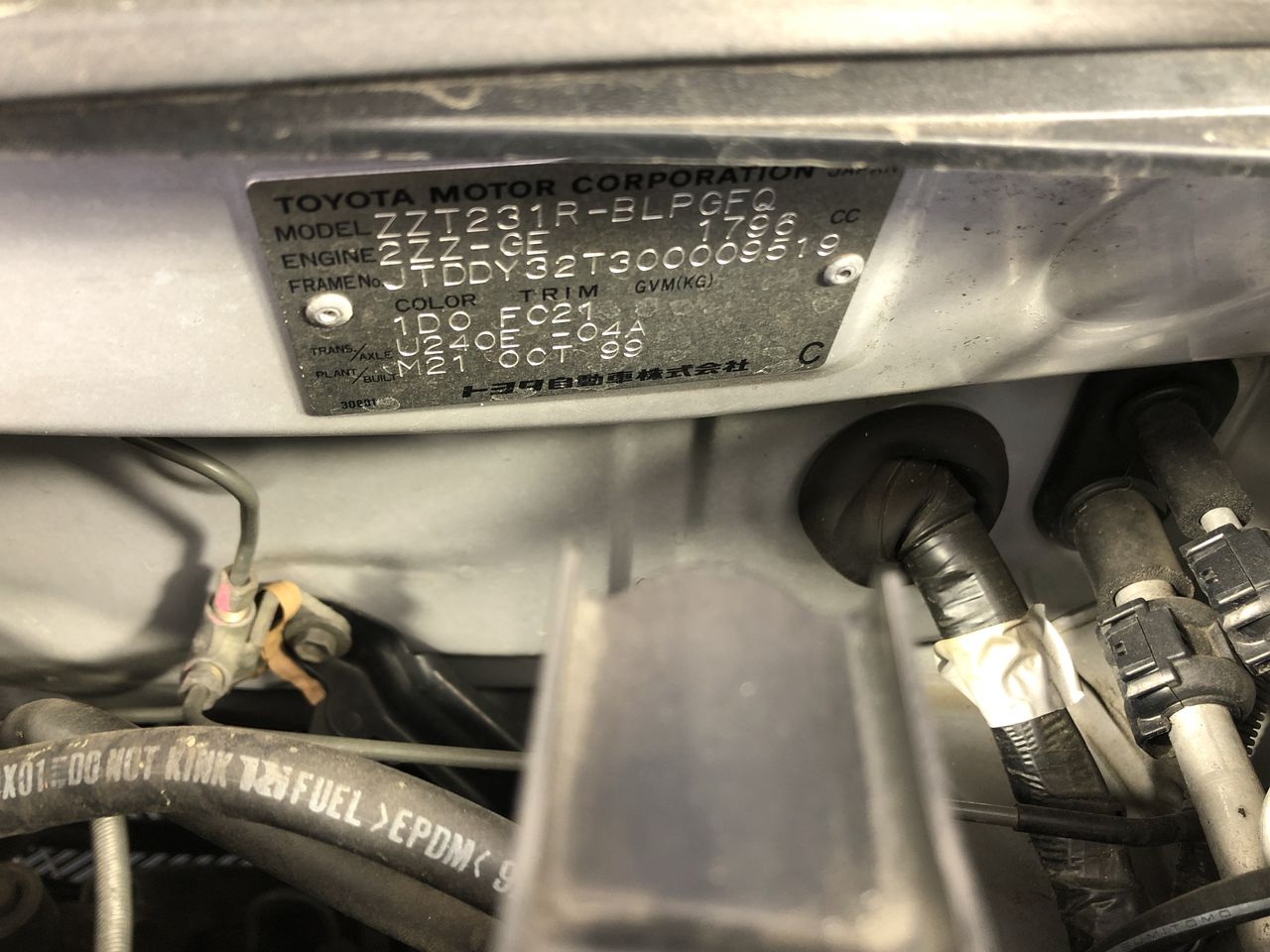 2025 Australia $1 Bluey Christmas Coloured Unc Coin