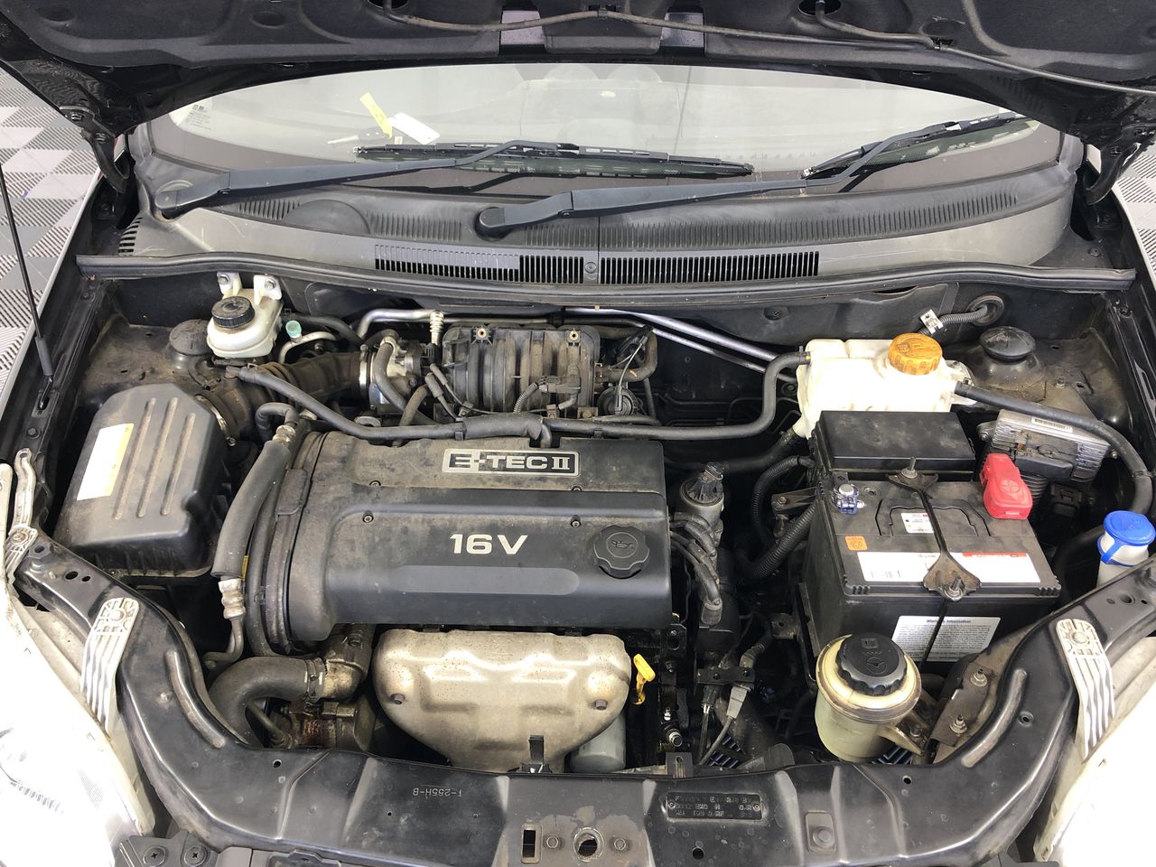 SAYV Wine Preservers - Argon Gas Canisters (12x 60mL)