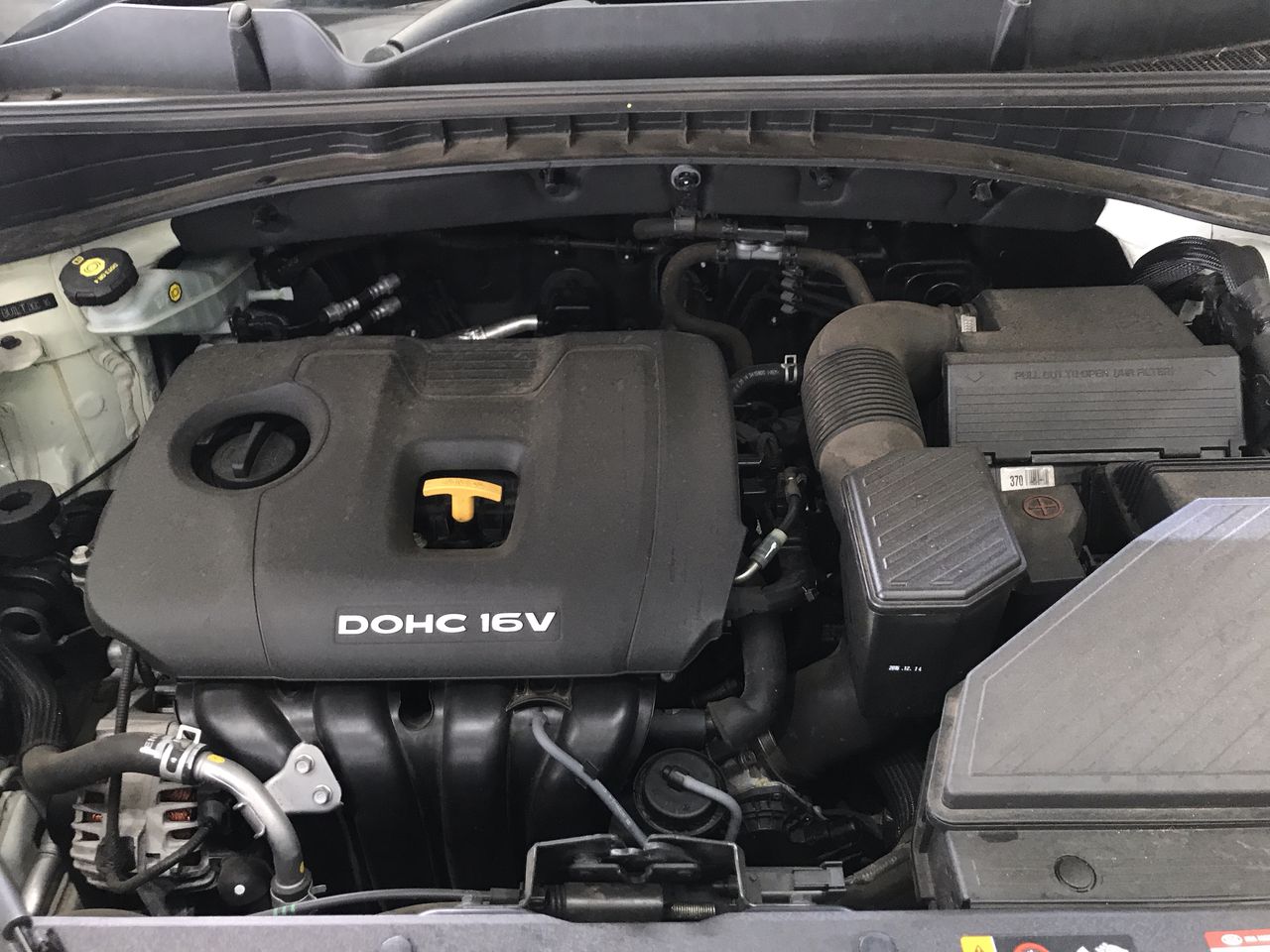 Artan Reserve Cleanskin Chardonnay 2024 (12x 750mL) SA