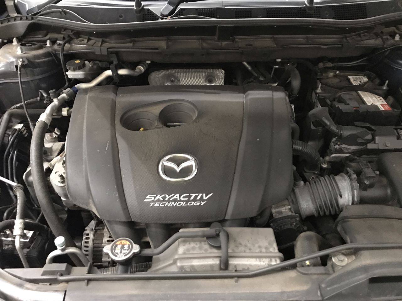 2ct Moissanite Oval Hidden Halo Ring 18K Gold on Solid Sterling Silver