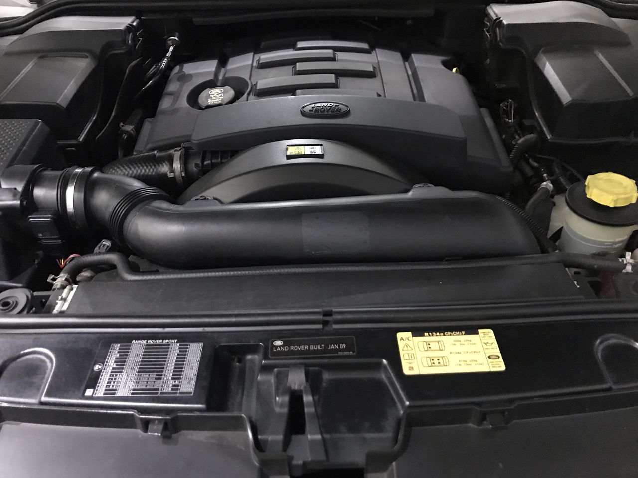 18ct Heavy Rose Gold Plated Medium Hoop Earring - Demo