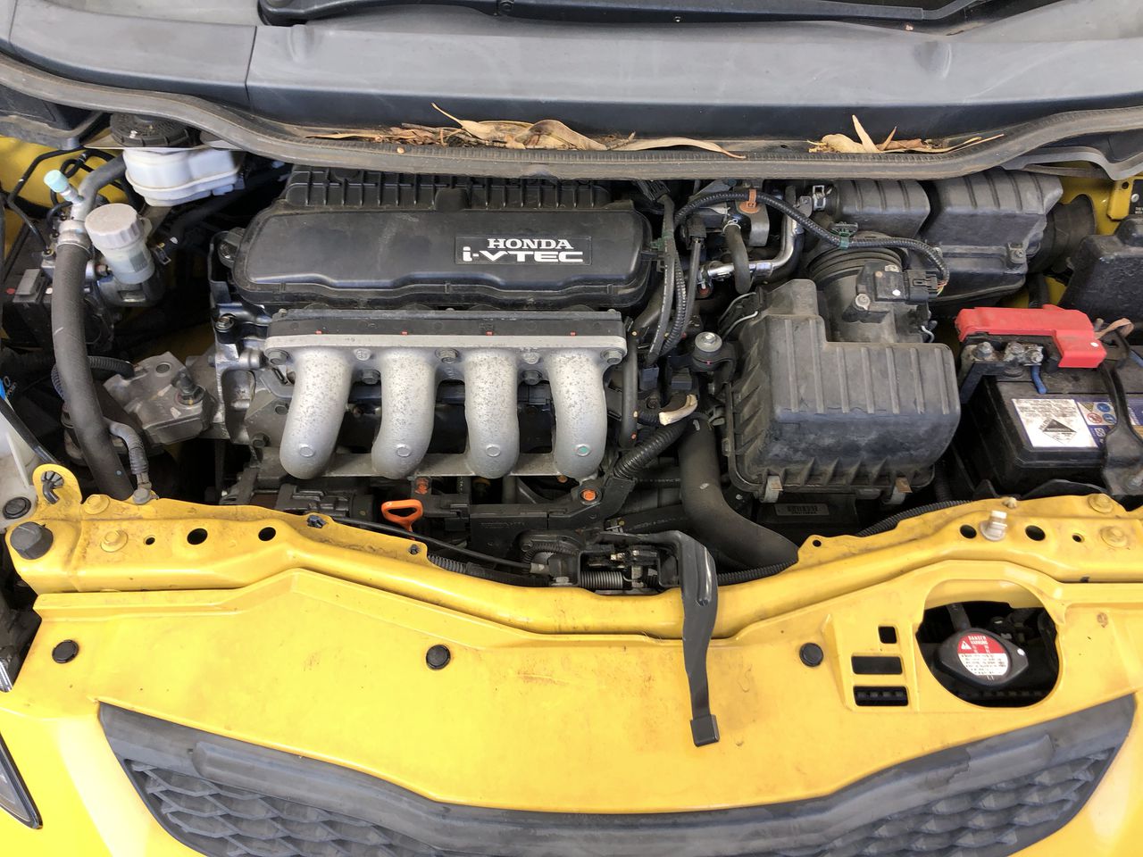 Elephant in the Room Sauvignon Blanc (6x 750mL). SA