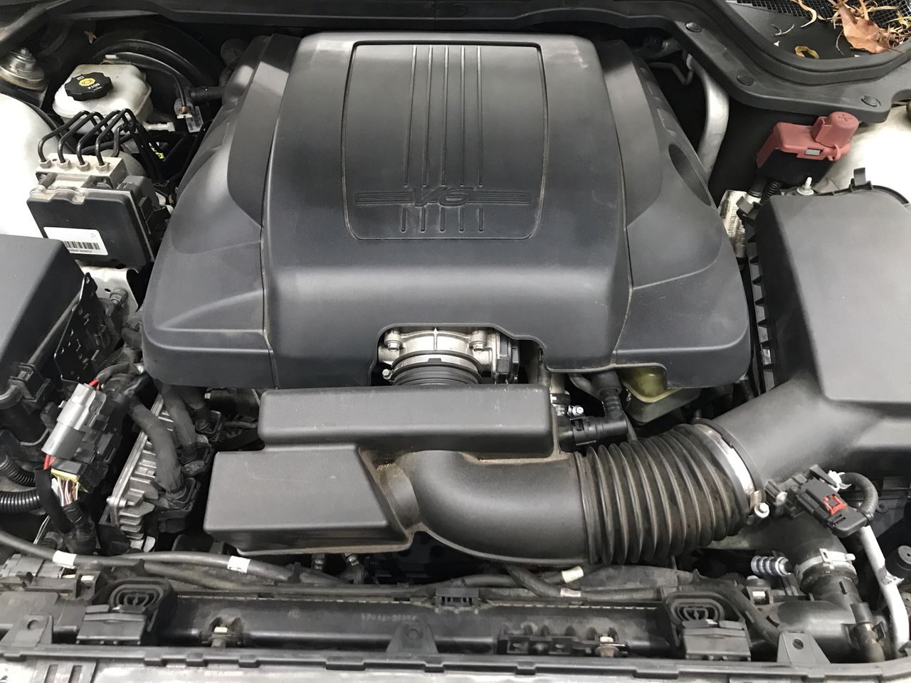 The Drover Sauvignon Blanc 2025 (12x 750mL) SEA