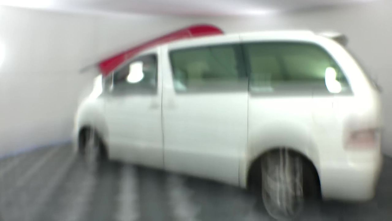 raikou 048/132 Holo Rare English