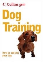 Dog Training: How to Educate Your Dog