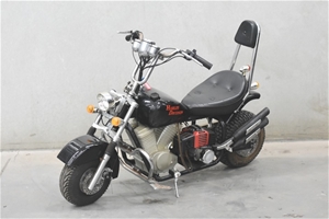 Harley Davidson Pit Bike 1 Seater Off Road Auction 0001 3467243 Grays Australia