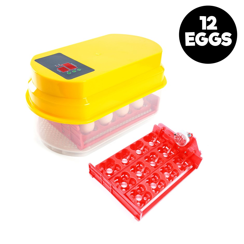 12 Eggs Digital Incubator With Tray