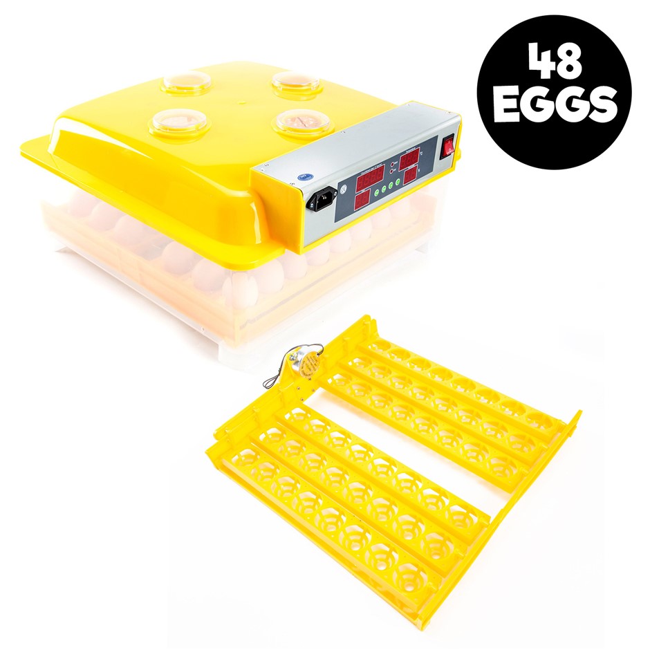 48 Eggs Digital Incubator With Tray