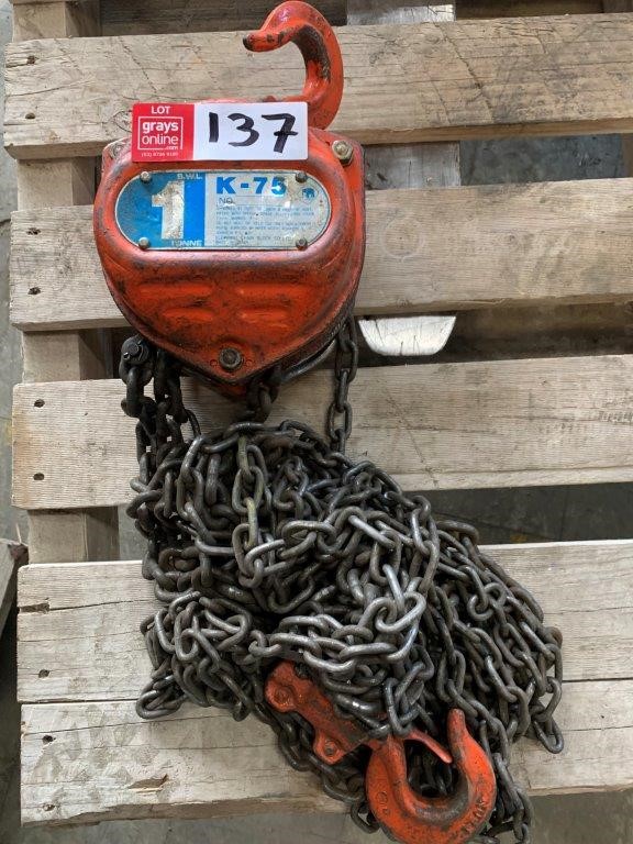 Manu Elephant Chain Block SWL 1 Tonne Chain Hoist Auction (0137-3017938 ...