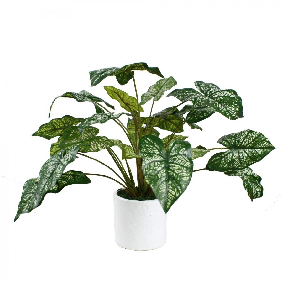 40cm Caladium in Pot Artificial Flower P