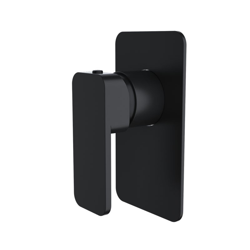 IVANO Series Solid Brass Black Shower/Ba