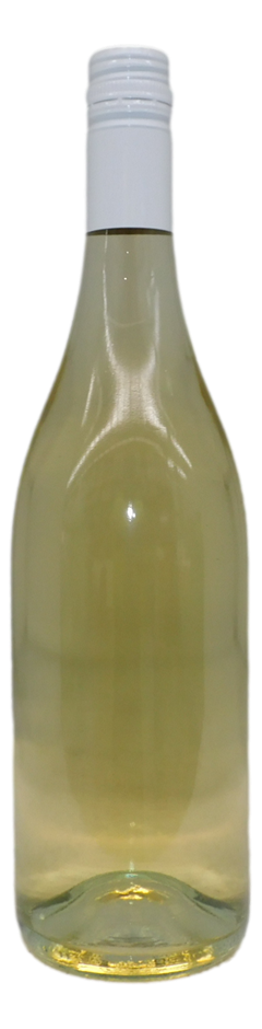 Cleanskin Sauvignon Blanc 2025 (12x 750mL) SA