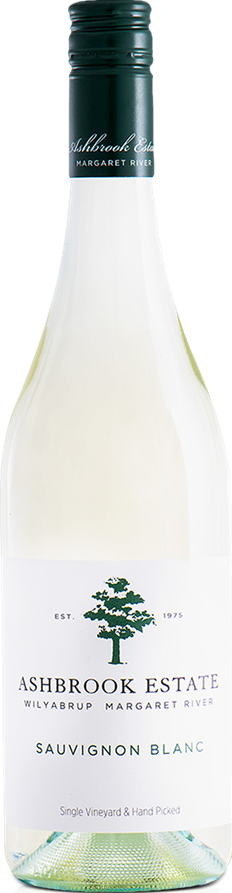 Ashbrook Sauvignon Blanc 2021 (12x 750mL