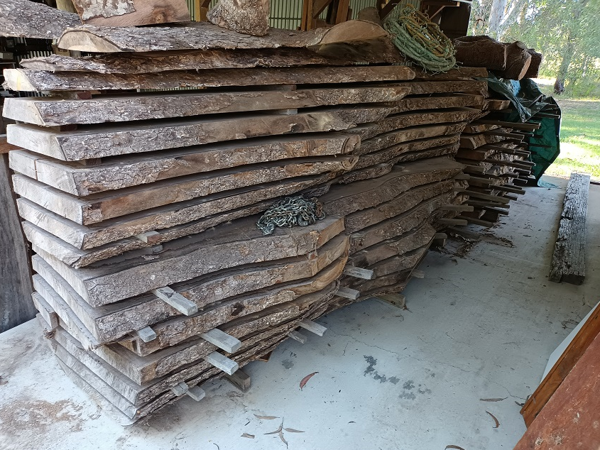 Bollywood Timber Slabs Auction (00057041441) Grays Australia