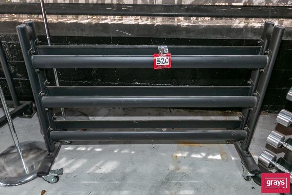 Aussie Strength Hexagonal Dumbell Rack Auction (0029-5050356) | Grays ...