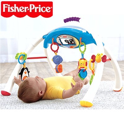 Fisher Price Baby Apptivity Gym