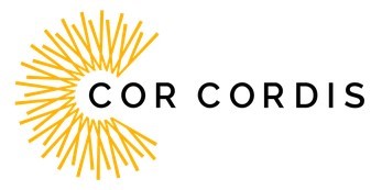 MAJOR EVENT - Late Model Commercial Vehicle Sale