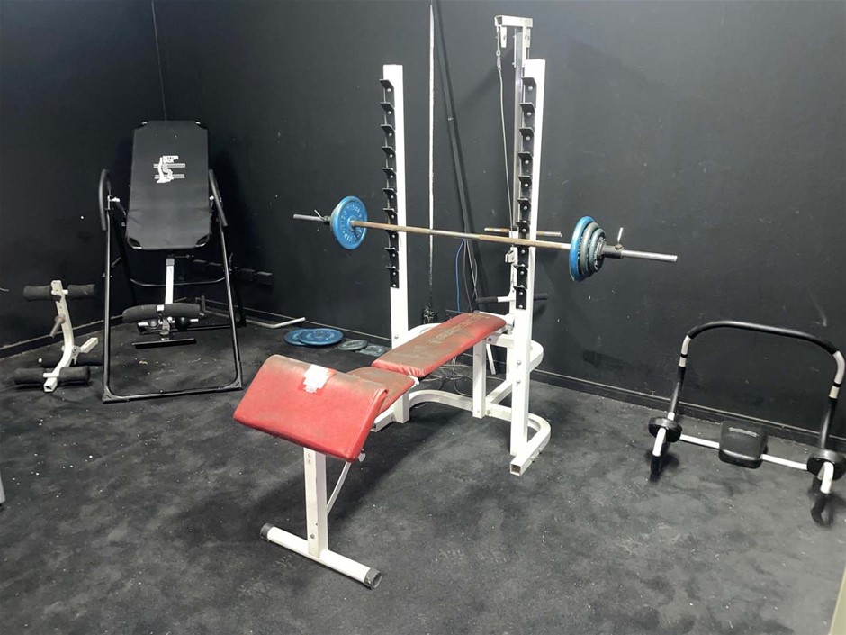 Assorted Gym Equipment Auction (03093024000) Grays Australia
