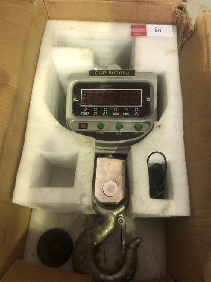 Qty 1 x Digital 5.0T Chain Block Controller Auction (0080-7041971 ...