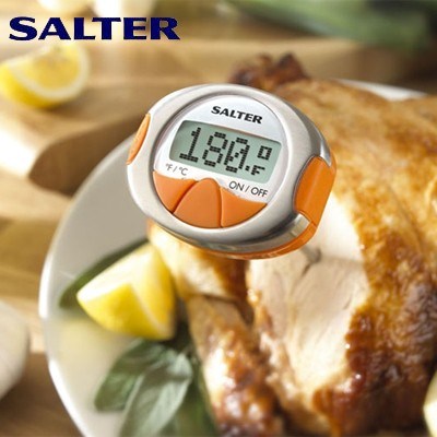 Salter Gourmet Digital Thermometer