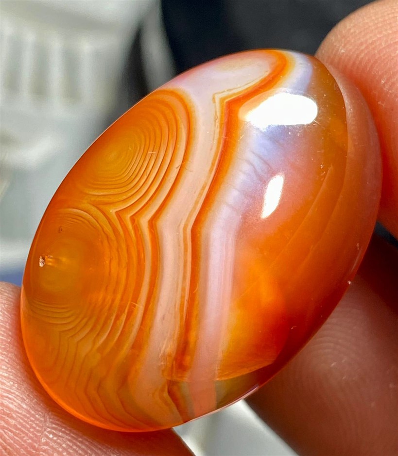36.21 Carats Australian Agate Auction (0014-2550527) | Grays Australia