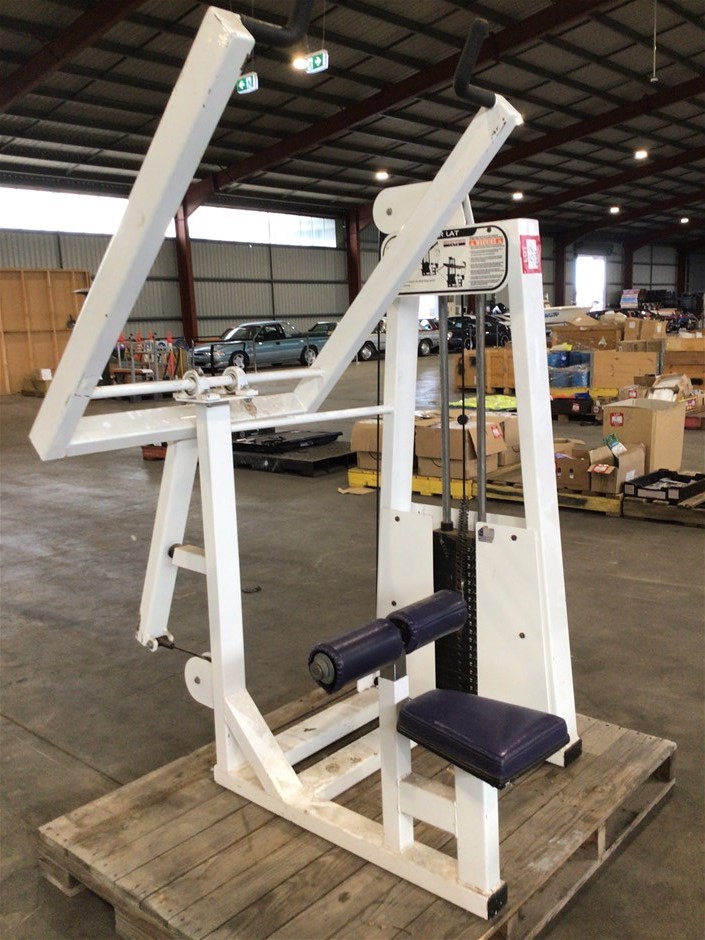 Lever Lat Exercise Machines Auction (00228017317) Grays Australia