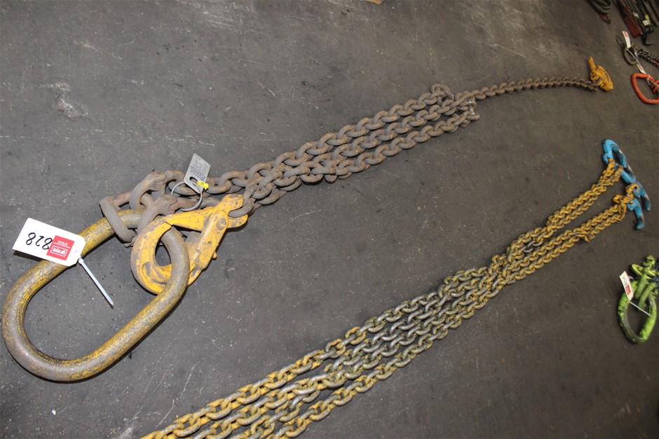 Barry Evans 2 Leg Lifting Chain Auction (0828-5053688) | Grays Australia