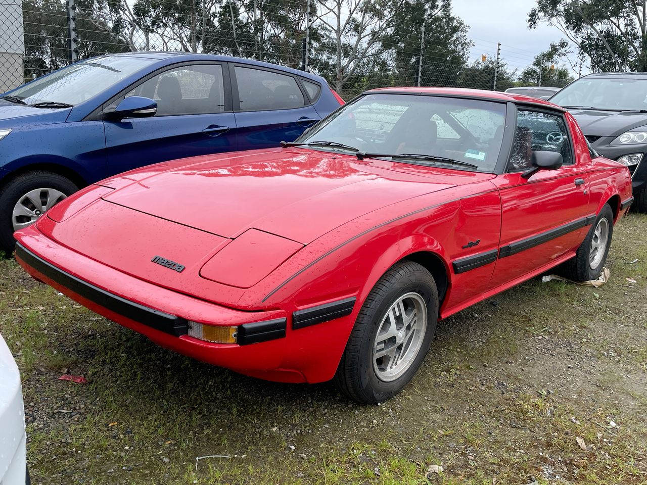 1983 Mazda RX-7 Manual Coupe Auction (0001-21008287) | Grays Australia