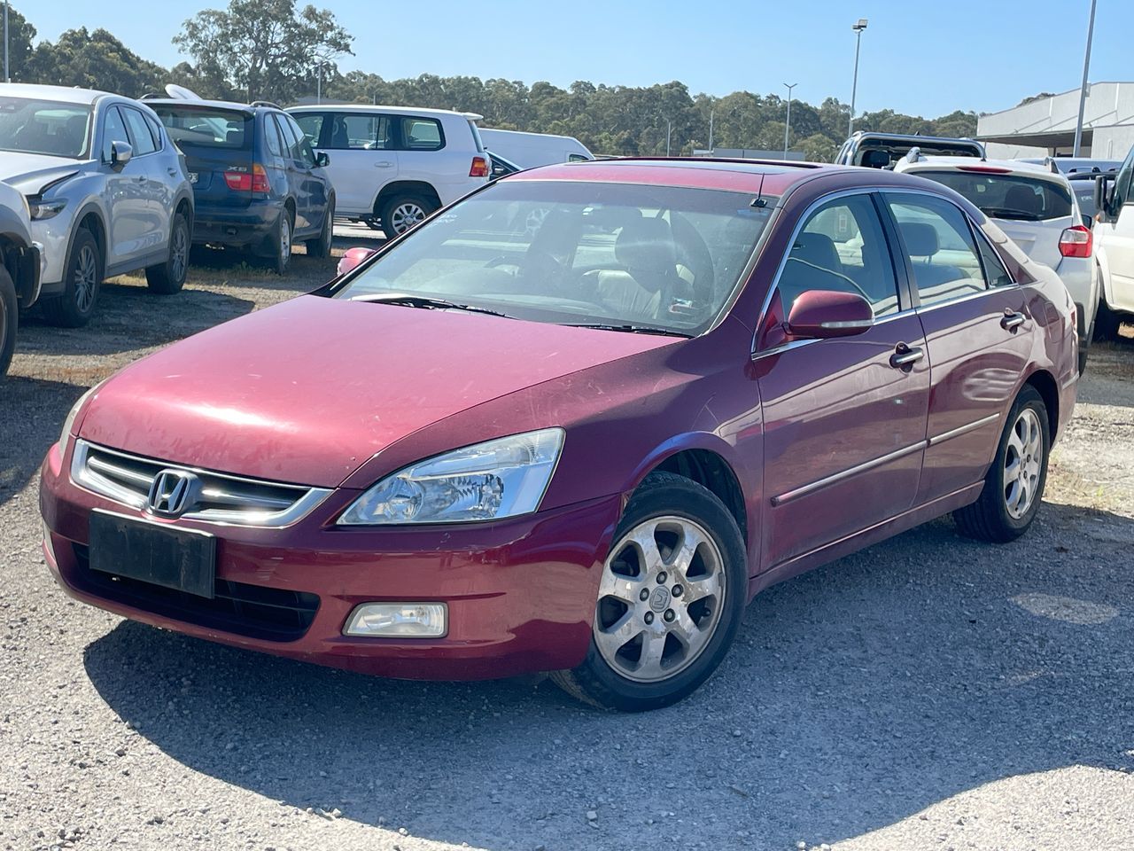 2003 Honda Accord V6 Luxury 7th Gen Automatic Sedan Auction (0001