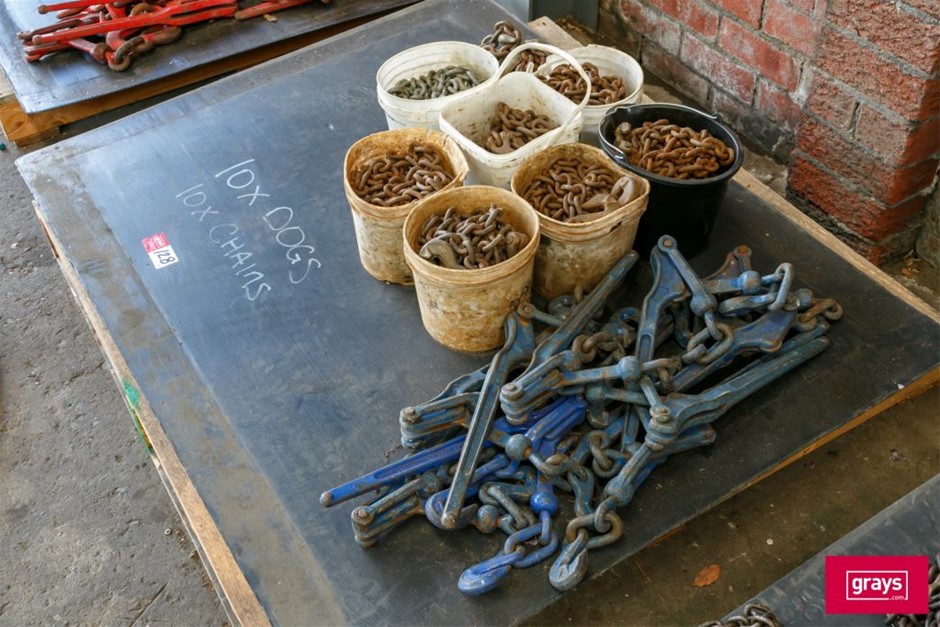 Assorted Lever Chain Dog tie Downs with Chains Auction (01285054433
